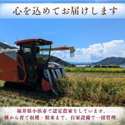 ふるさと納税 小浜市 令和8年産【新米】　福井県産ミルキークイーン　白米10kg |  | 03