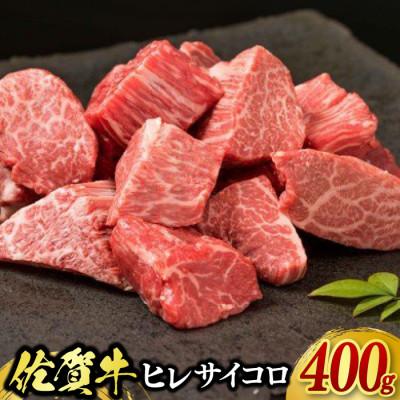 ふるさと納税 鳥栖市 佐賀牛ヒレサイコロステーキ(400g)(鳥栖市)