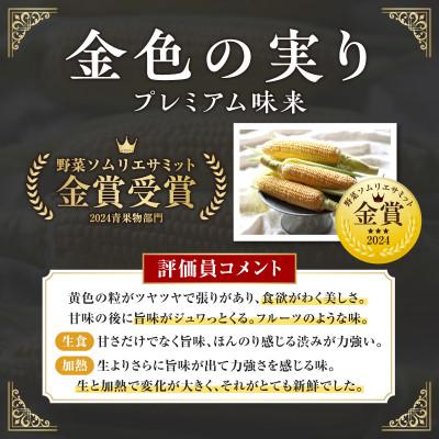 ふるさと納税 西尾市 2027年6月中旬より発送予定　プレミアム味来4.5kg以上(2L〜L)・S064 |  | 01