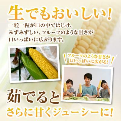 ふるさと納税 西尾市 2027年6月中旬より発送予定　プレミアム味来4.5kg以上(2L〜L)・S064 |  | 02
