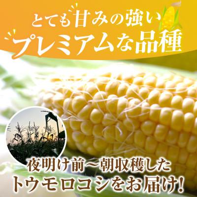 ふるさと納税 西尾市 2027年6月中旬より発送予定　プレミアム味来4.5kg以上(2L〜L)・S064 |  | 03