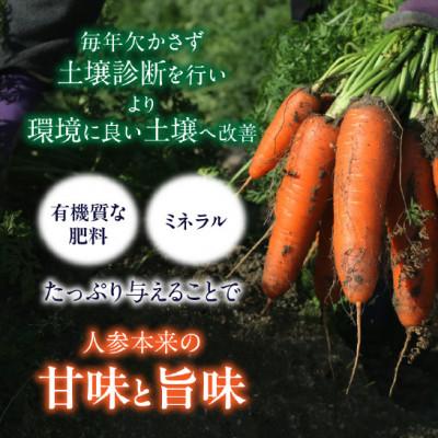 ふるさと納税 西尾市 フルーツみたいに甘い人参4kg・S069 |  | 01