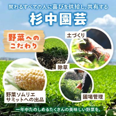 ふるさと納税 西尾市 フルーツみたいに甘い人参4kg・S069 |  | 02