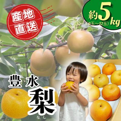 ふるさと納税 広川町 [2026年8月下旬より順次発送]豊水梨5kgケース 果汁多めの甘くてジューシーな味わい(広川町)