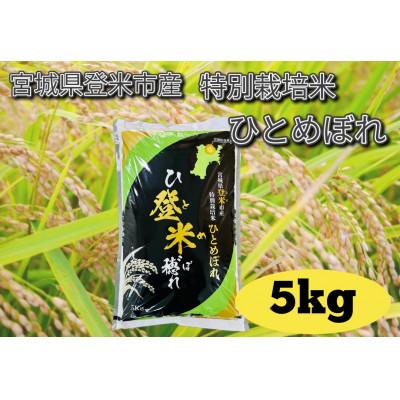 ふるさと納税 宮城県 [令和7年産]宮城県登米市産 特別栽培米ひとめぼれ 5kg