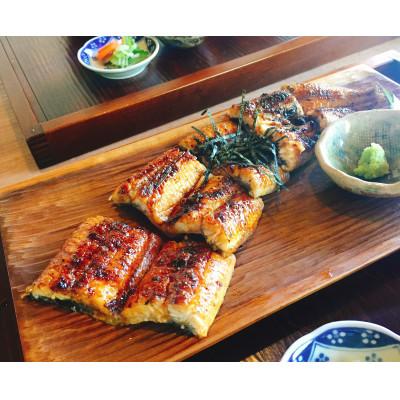 ふるさと納税 綾町 うなぎ蒲焼(大サイズ)1尾