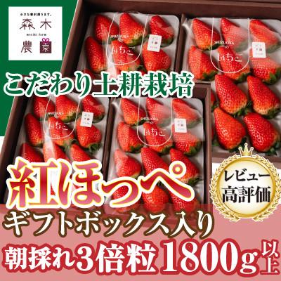 ふるさと納税 牧之原市 最高の贅沢をあなたに…森木農園が育てる『大粒紅ほっぺ』4トレイ 合計1800g以上