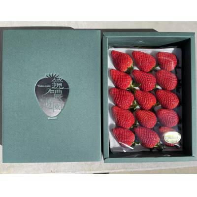 ふるさと納税 鏡石町 [福島県鏡石町産]いちご ふくはる香(約400g×1箱)