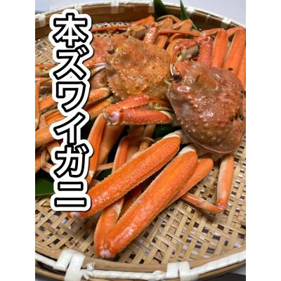 ふるさと納税 村上市 [訳あり]浜茹で本ズワイガニ 足欠「雄ガニ 3杯(約900g)」1043007
