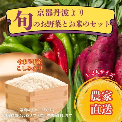 ふるさと納税 南丹市 [京都丹波より旬をお届け]朝採れお任せ季節の京野菜&amp;お米2キロセット〜農家直送〜