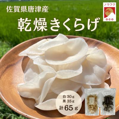 ふるさと納税 唐津市 [ノウフクJAS認証]佐賀県唐津市産 乾燥きくらげ(しろかがみ30g・くろかがみ35g)