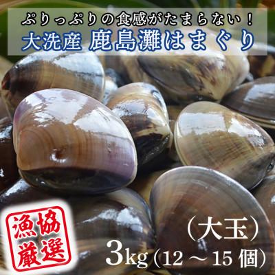 ふるさと納税 大洗町 ぷりっぷりの食感がたまらない! 大洗産鹿島灘はまぐり　3kg(大玉) | 