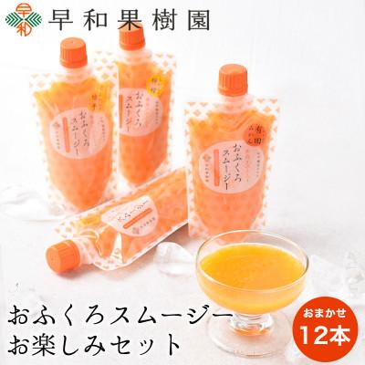 ふるさと納税 有田市 [早和果樹園]おふくろスムージー お楽しみセット12本入|飲むゼリー