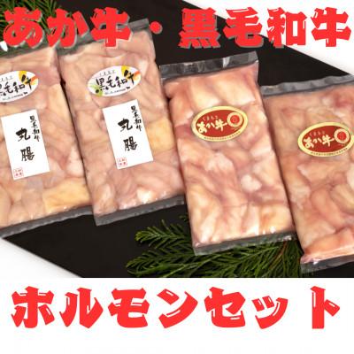 ふるさと納税 八代市 熊本県産 黒毛和牛(丸腸)200g×2個・あか牛(小腸)200g×2個 ホルモンセット(八代市)