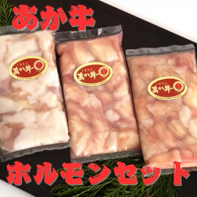 ふるさと納税 八代市 熊本県産 あか牛 牛小腸 ホルモンセット600g(200g×3パック)(八代市)