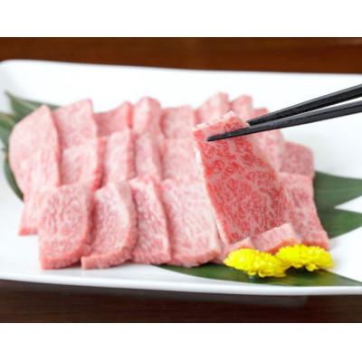 ふるさと納税 八代市 [黒毛和牛]熊本県産 焼き肉用 ロース 600g(300g×2パック)(八代市)