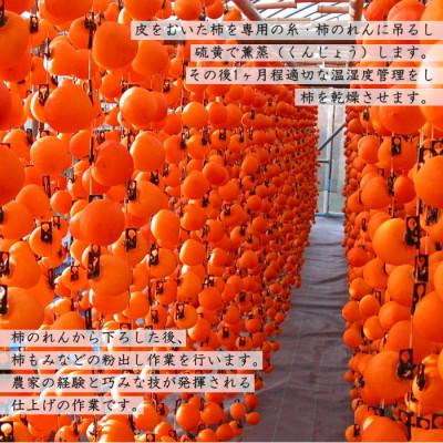 ふるさと納税 豊丘村 不揃い【南信州産】市田柿  約1kg(約500g×2袋) |  | 02