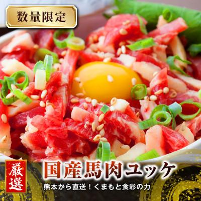ふるさと納税 長洲町 [馬刺し]熊本直送 ブロック肉 赤身200g・ユッケ200g 合計400gセット(長洲町)