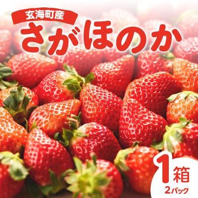 ふるさと納税 玄海町 (予約受付)[平川いちご農園 佐賀県玄海町産「さがほのか」1箱[D022]