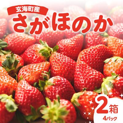 ふるさと納税 玄海町 (予約受付)平川いちご農園 佐賀県玄海町産「さがほのかDX」2箱[D023]