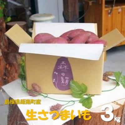 ふるさと納税 飯南町 高糖度サツマイモ「森の絹」生イモ(3kg)