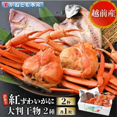 ふるさと納税 越前町 [訳あり]浜茹で 紅ずわいがに 2杯 &amp; 大判干物「赤かれい・あじ」セット[4月発送分]