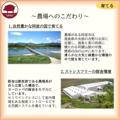 ふるさと納税 阿波市 【無塩居敷き5種】 剥き身3種\u0026ブロックハム2種詰合せ  無足し加える G07