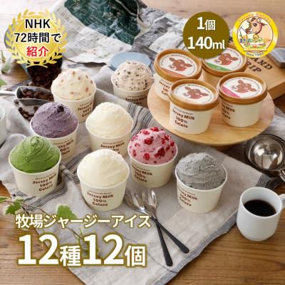 ふるさと納税 伊達市 自社牧場直営ジャージーアイスクリーム人気12種各1個 計12個のセット
