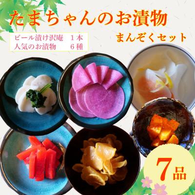 ふるさと納税 沼津市 ビール漬 季節野菜 7種 沼津まんぞく セット 小分け