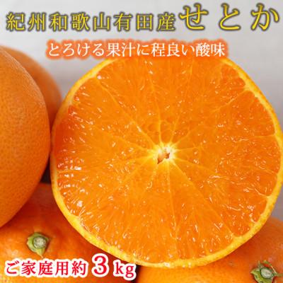 ふるさと納税 日高川町 [ご家庭用訳あり]紀州和歌山産 せとか 約3kg