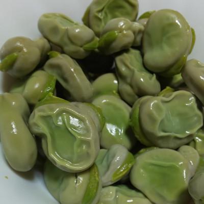 ふるさと納税 秦野市 [2026年5月中旬〜発送予定]みずみずしい!とれたてそら豆 約1,500g from 名水の里秦野