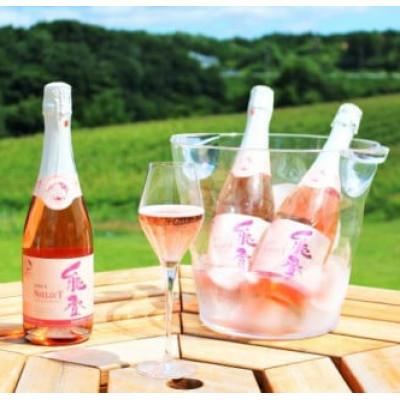 ふるさと納税 穴水町 「能登ワイン」スパークリング・ロゼ　720ml |  | 01