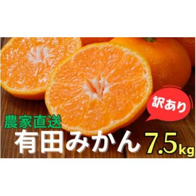 ふるさと納税 広川町 [25年10月〜順次発送][訳あり]有田みかん約7.5kgサイズ混合nuk004-noka-c7d5