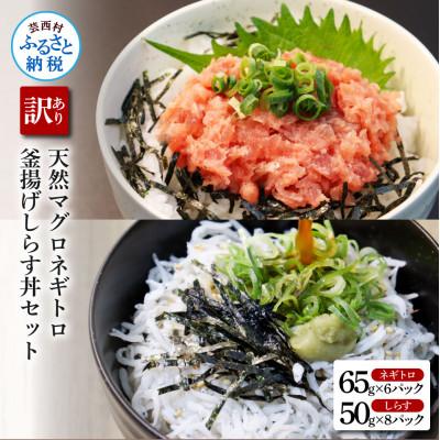 ふるさと納税 芸西村 訳あり高知県産 釜揚げしらす(8P)と天然マグロのタタキ丼(6P)セット[KGP037-W]
