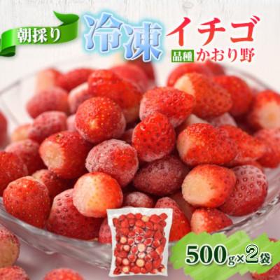 ふるさと納税 長門市 冷凍イチゴ(500g×2袋)
