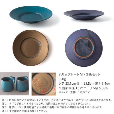 ふるさと納税 瑞浪市 【3色SET】 恩田陽子 リムプレート 皿 M 23.5cm