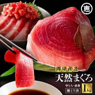 ふるさと納税 三浦市 とにかくまぐろの質に自信あり!問屋直送!天然三崎まぐろ1kg!中トロや赤身 刺身や海鮮丼 漬け丼にも