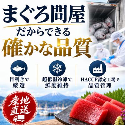 ふるさと納税 三浦市 【訳あり】天然三崎まぐろ 赤身 1kg 家計応援 10人分!不揃い　海鮮 刺身 漬け |  | 02