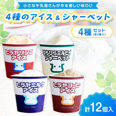 ふるさと納税 京丹後市 平林乳業 ヒラヤアイス 4種 100ml×12 ミルク・コーヒー・リンゴ・ミルピィ 各3個人気セット