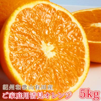 ふるさと納税 高野町 [ご家庭用訳アリ]紀州有田産清見オレンジ 5kg