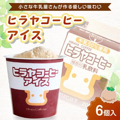 ふるさと納税 京丹後市 平林乳業 ヒラヤコーヒーアイス 100ml×6個セット おいしい牛乳のコーヒー牛乳がアイスクリームに
