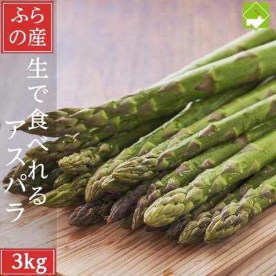 ふるさと納税 富良野市 2026年先行予約 生で食べられる北海道富良野産 アスパラ3kg (S〜Lサイズ混合)