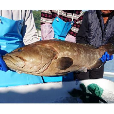 ふるさと納税 佐世保市 よか魚長崎産天然クエ鍋 |  | 02