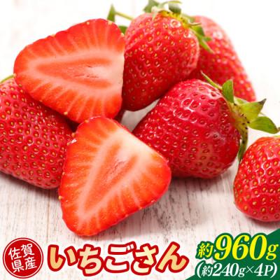 ふるさと納税 鳥栖市 佐賀県産いちごさん約960g(約240g×4パック)(鳥栖市)