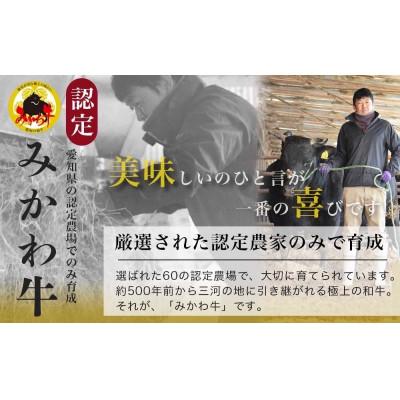 ふるさと納税 豊田市 【みかわ牛】特選豪華シャトーブリアン　130g×4枚 |  | 02
