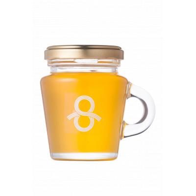 ふるさと納税 江津市 島根の蜂蜜(里山の春)(120g×1本)