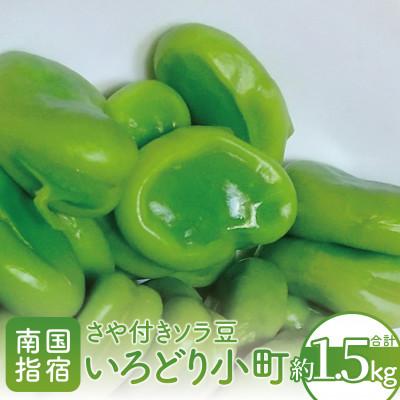 ふるさと納税 指宿市 指宿産さや付きソラマメ[いろどり小町]約1.5kg(A-319)