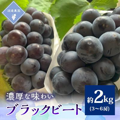 ふるさと納税 津山市 [先行予約 2026年発送]岡山県産 アントシアニン豊富な ブラックビート3房〜6房(合計約2kg)