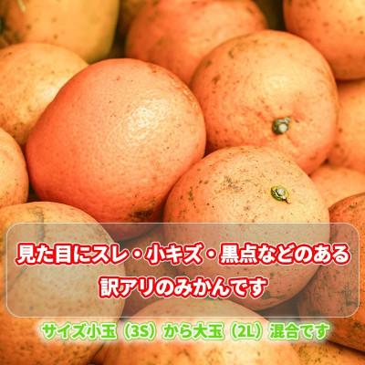 ふるさと納税 松山市 訳あり 温州みかん 5kg |  | 01