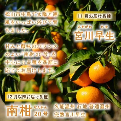 ふるさと納税 松山市 訳あり 温州みかん 5kg |  | 02